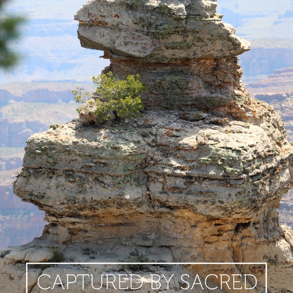 Meet your Posher, Gaile - Picture 2 of 2